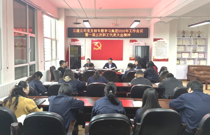 深学笃行展新姿 凝心聚力启新程&mdash;&mdash;三建公司党支部专题学习研讨集团&ldquo;两会&rdquo;精神