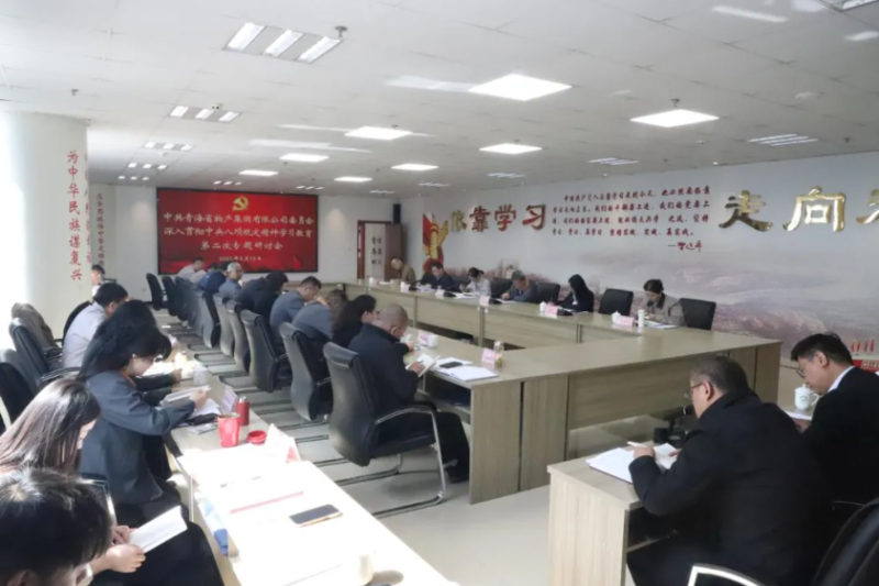 yl7703永利集团党委召开深入贯彻中央八项规定精神学习教育第二次专题研讨会