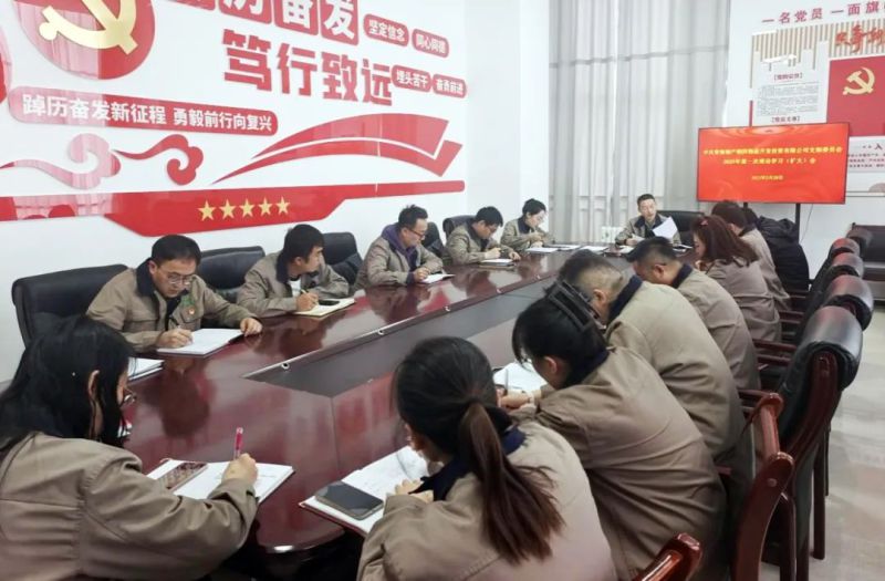 朝开公司党支部召开2025年第一次理论学习（扩大）会