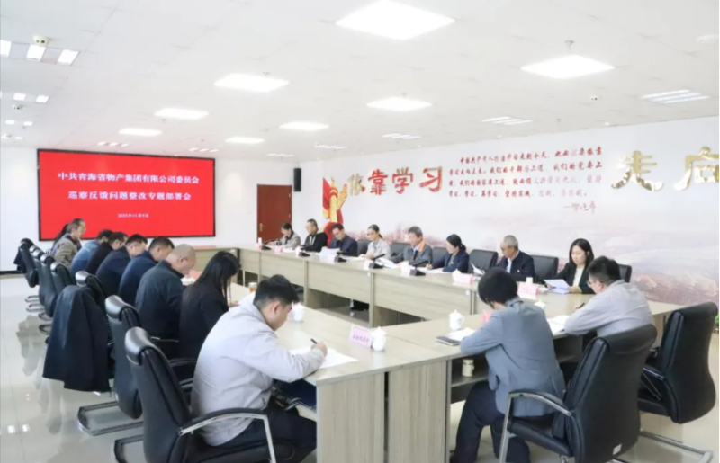 集团党委召开巡察反馈问题整改专题部署会