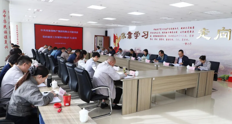 yl7703永利集团党委召开党的建设工作领导小组（扩大）会议