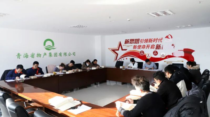 凝心铸魂学思想 充电蓄能促提升&mdash;&mdash;集团团委组织开展团员和青年主题教育&ldquo;挺膺担当&rdquo;专题集中学习