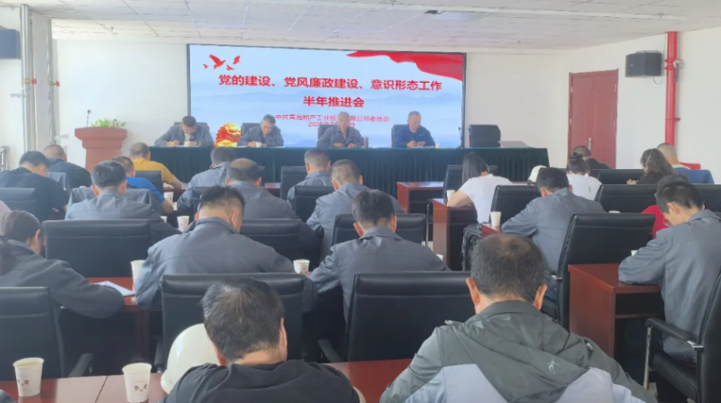 工投公司党委召开党的建设、党风廉政建设、意识形态工作半年推进会