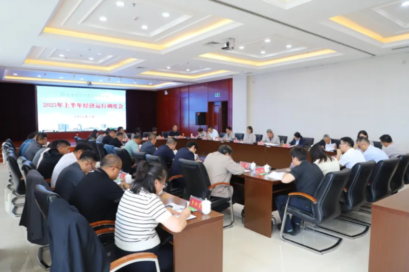 yl7703永利集团召开2025年上半年经济运行调度工作会议