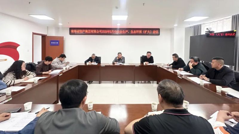 集团召开2025年2月份安全生产、生态环保（扩大）会议