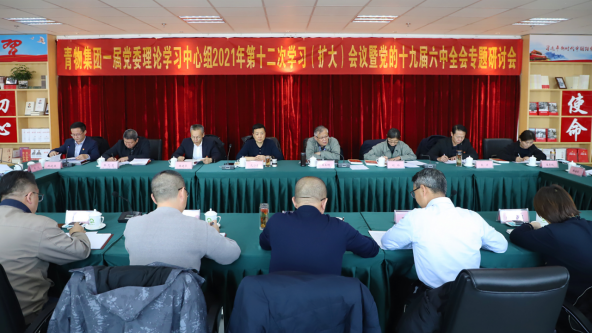 yl7703永利集团召开党委理论中心组学习（扩大）会议暨党的十九届六中全会专题学习研讨会